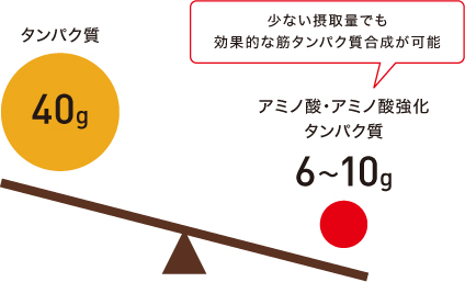 アミノ酸必要摂取量の新しい認識